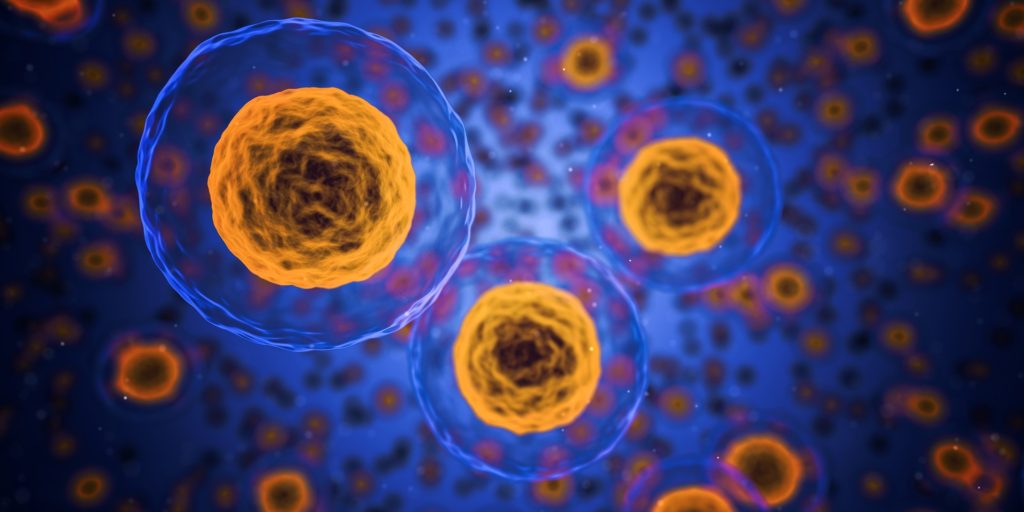 cells-1872666_1920-qimono